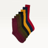 Semainier Chaussettes Multicolores